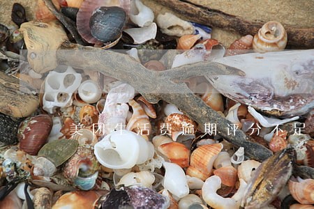 美团生活费逾期评分不足 美团生活费逾期评分不足