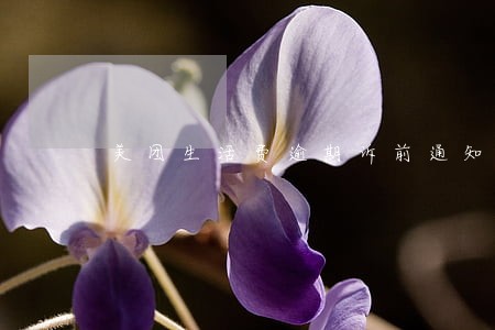 美团生活费逾期诉前通知书
