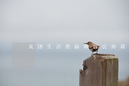 美团生活费逾期诉讼仲裁 美团生活费逾期诉讼仲裁