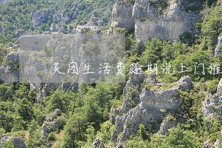 美团生活费逾期说上门催收