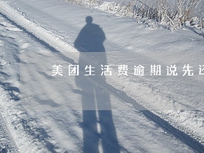 美团生活费逾期说先还再借 美团生活费逾期说先还再借