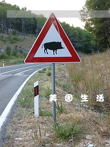 美团生活费逾期说报案处理 美团生活费逾期说报案处理