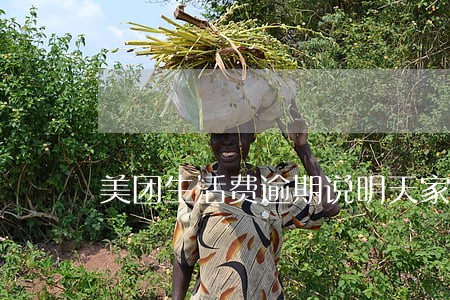 美团生活费逾期说明天家访 美团生活费逾期说明天家访