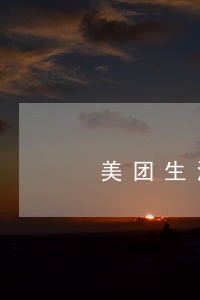 美团生活费逾期说明天要上门