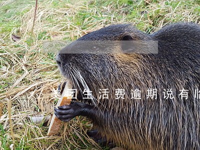 美团生活费逾期说有临时额度 美团生活费逾期说有临时额度