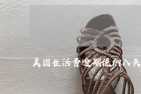 美团生活费逾期说纳入失信 美团生活费逾期说纳入失信