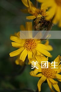 美团生活费逾期说要外访