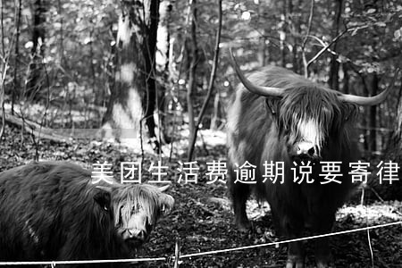 美团生活费逾期说要寄律师函 美团生活费逾期说要寄律师函