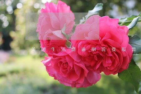 美团生活费逾期说要报警 美团生活费逾期说要报警