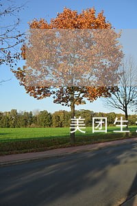 美团生活费逾期说要联系我家人 美团生活费逾期说要联系我家人