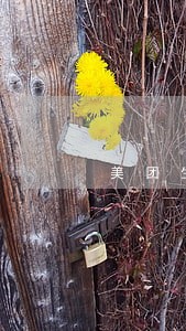 美团生活费逾期账单怎么修改金额 美团生活费逾期账单怎么修改金额
