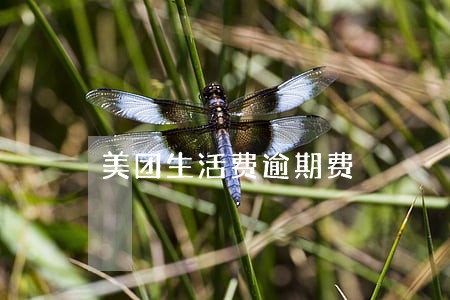 美团生活费逾期费 美团生活费逾期费