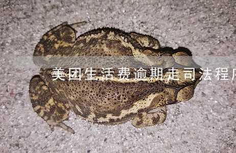 美团生活费逾期走司法程序追回 美团生活费逾期走司法程序追回