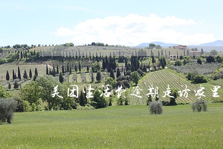 美团生活费逾期走访家里人吗 美团生活费逾期走访家里人吗