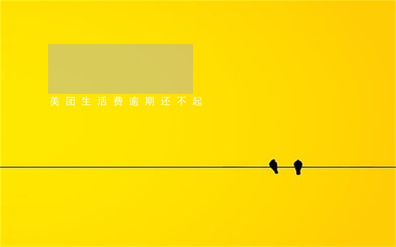 美团生活费逾期还不起