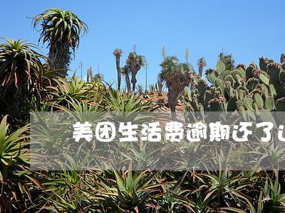 美团生活费逾期还了还能借钱吗 美团生活费逾期还了还能借钱吗