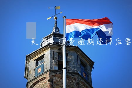美团生活费逾期还掉后要求还全款 美团生活费逾期还掉后要求还全款