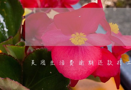 美团生活费逾期还款打工账 美团生活费逾期还款打工账