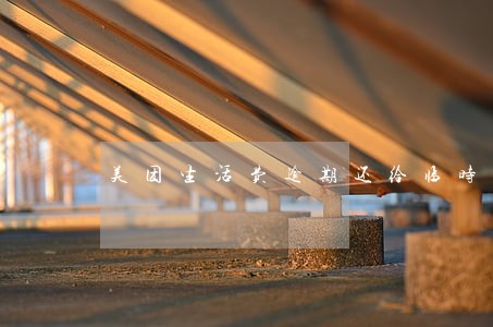 美团生活费逾期还给临时额度吗 美团生活费逾期还给临时额度吗