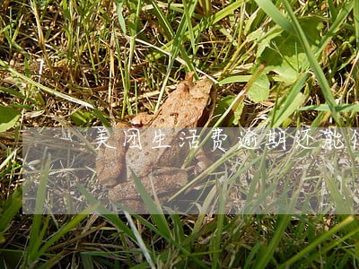 美团生活费逾期还能借出来吗 美团生活费逾期还能借出来吗
