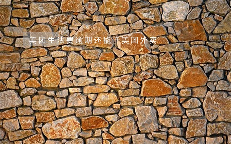 美团生活费逾期还能干美团外卖 美团生活费逾期还能干美团外卖