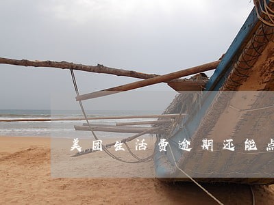 美团生活费逾期还能点外卖么 美团生活费逾期还能点外卖么