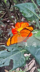 美团生活费逾期还能用吗 美团生活费逾期还能用吗