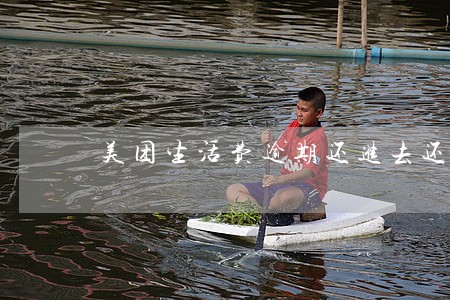 美团生活费逾期还进去还可以用吗 美团生活费逾期还进去还可以用吗