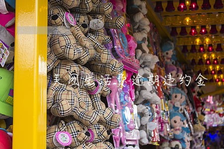 美团生活费逾期违约金 美团生活费逾期违约金