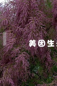 美团生活费逾期通告函 美团生活费逾期通告函