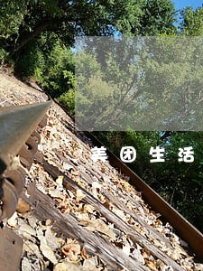 美团生活逾期一天 美团生活逾期一天