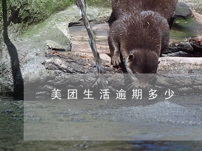 美团生活逾期多少 美团生活逾期多少