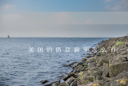 美团的借款逾期怎么办 美团的借款逾期怎么办