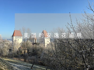 美团的安逸花逾期 美团的安逸花逾期