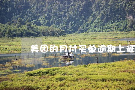 美团的月付买单逾期上征信吗 美团的月付买单逾期上征信吗