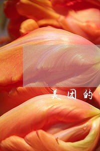 美团的生活费逾期 美团的生活费逾期