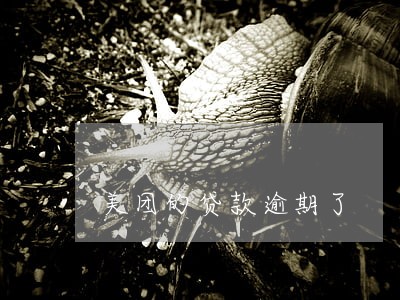 美团的贷款逾期了