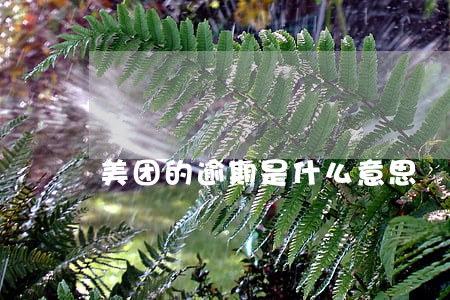 美团的逾期是什么意思 美团的逾期是什么意思
