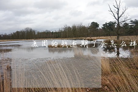 美团的钱逾期了会怎么样 美团的钱逾期了会怎么样