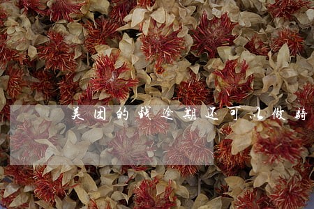 美团的钱逾期还可以做骑手吗 美团的钱逾期还可以做骑手吗