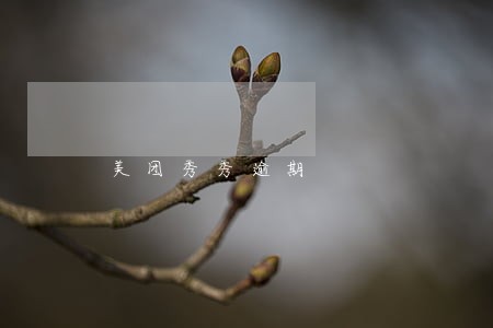 美团秀秀逾期 美团秀秀逾期