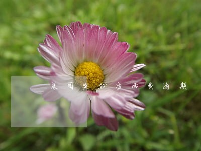 美团突然生活费逾期 美团突然生活费逾期