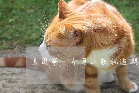 美团第一个月还款就逾期会怎样 美团第一个月还款就逾期会怎样