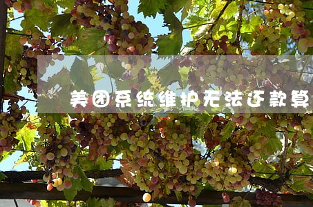 美团系统维护无法还款算逾期吗 美团系统维护无法还款算逾期吗