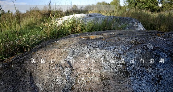 美团综合评分不足但是没有逾期 美团综合评分不足但是没有逾期