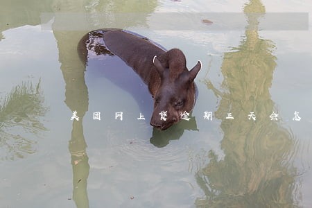 美团网上贷逾期三天会怎样 美团网上贷逾期三天会怎样