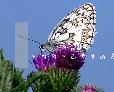 美团网你已严重逾期 美团网你已严重逾期