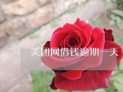 美团网借钱逾期一天 美团网借钱逾期一天