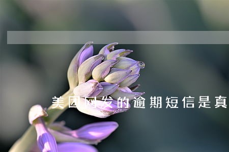 美团网发的逾期短信是真是假 美团网发的逾期短信是真是假