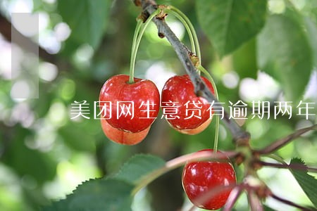美团网生意贷有逾期两年的吗 美团网生意贷有逾期两年的吗
